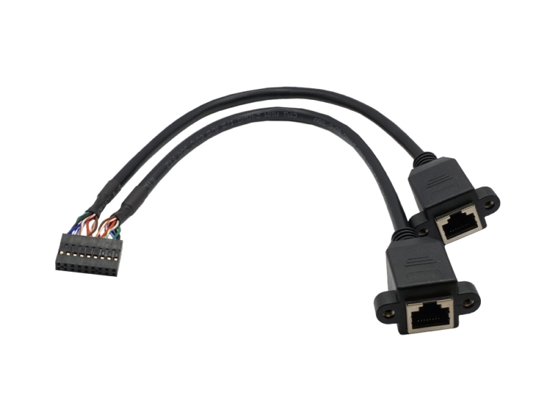 PHD2.0 2x9 Pin 转 2x RJ45 8P8C 接口 线材